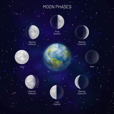 calendar showing the moon phases throughout the year