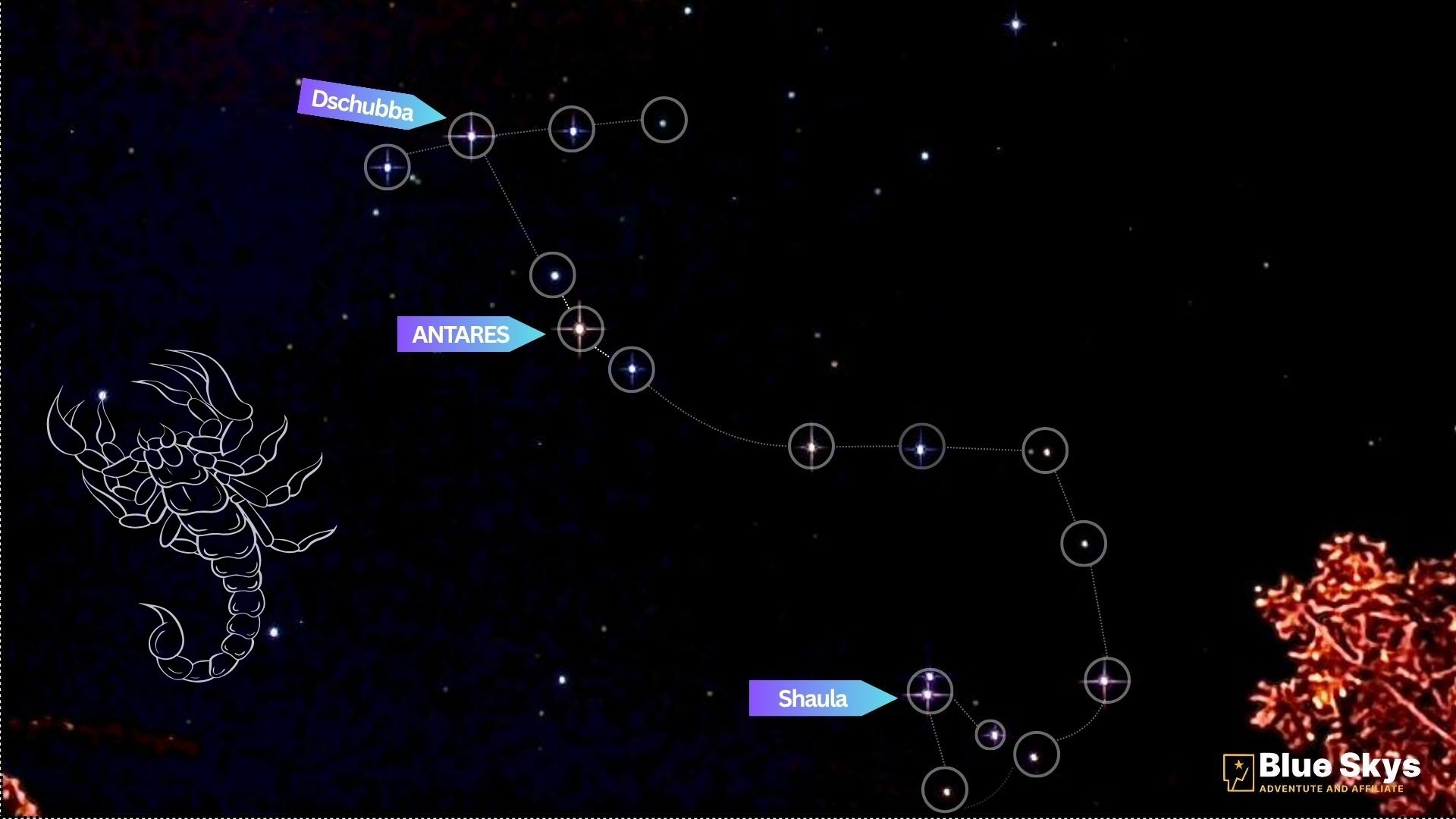 Scorpius constellation star map showing Antares, Dschubba, and Shaula — key stars in the Southern Hemisphere night sky